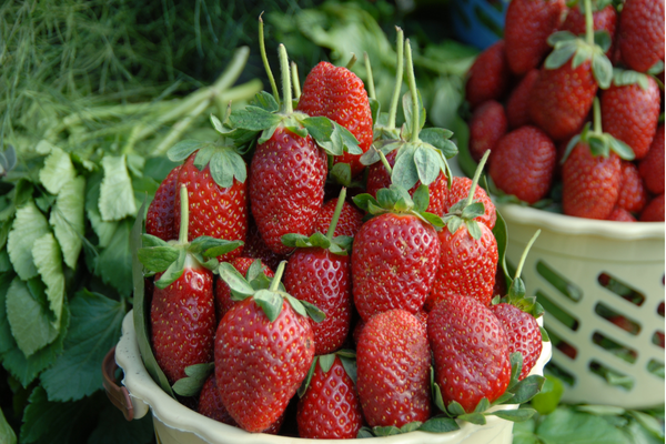 Yaş meyve ve sebze ihracat verileri açıklandı