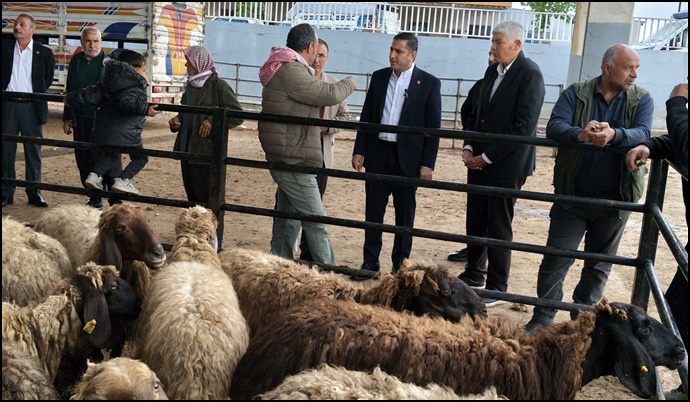 CHP Şanlıurfa İl Başkanı Ferhat Karadağ:Hayvan Pazarında Tablo Endişe Verici