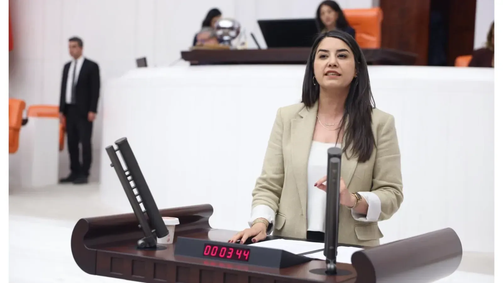 DEM Partili Vekilden Ceylanpınar-Kızıltepe Yolu İçin Bakan Uraloğlu'na Soru Önergesi