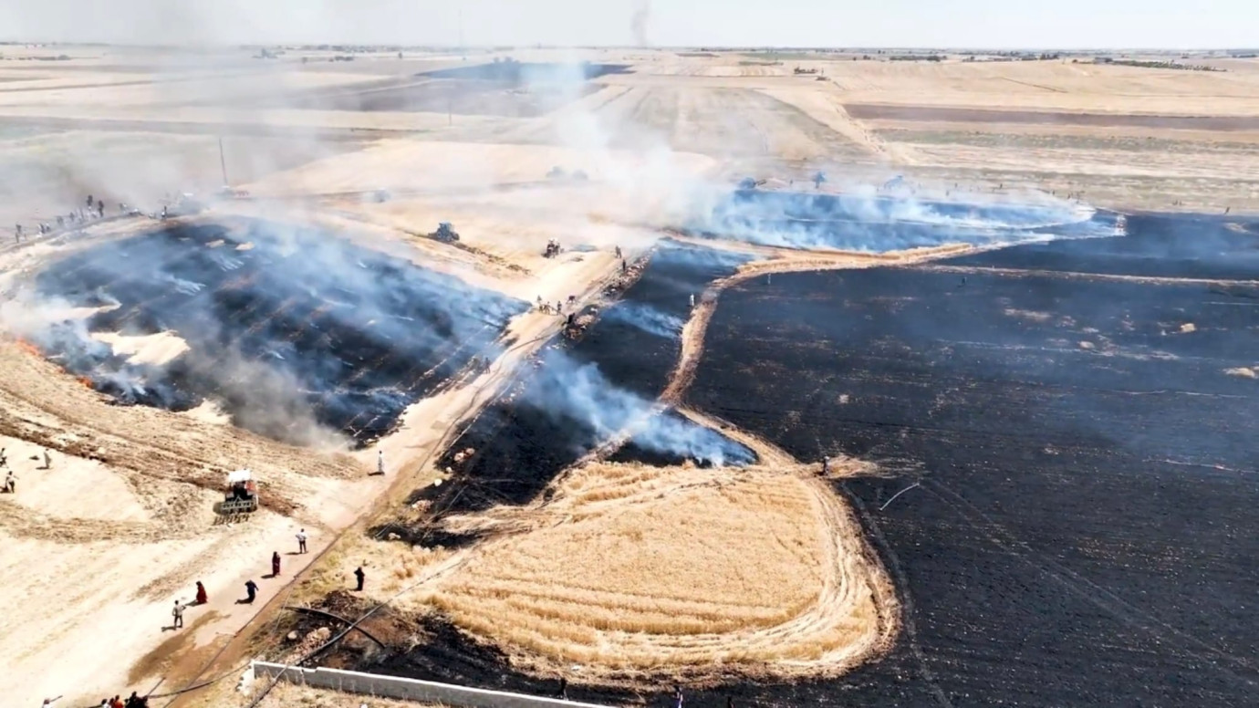 HARRAN'DA BUĞDAY TARLASI YANGINI: 50 DÖNÜM ARAZİ ZARAR GÖRDÜ