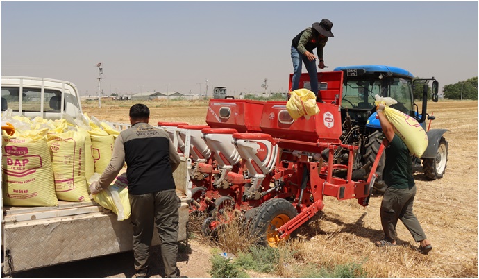 Şanlıurfa’da Anıza Doğrudan Ekim Çalışmaları Genişletildi