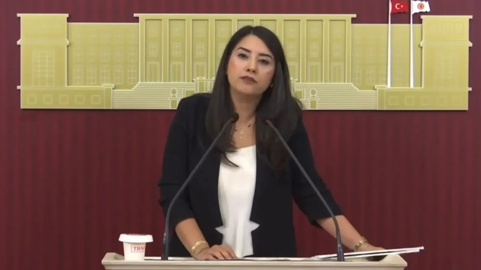 Milletvekili Ayan'dan Şok İddia: Hastaya Takılmadığı Öne Sürülen Stentler SGK'ya Fatura Edildi