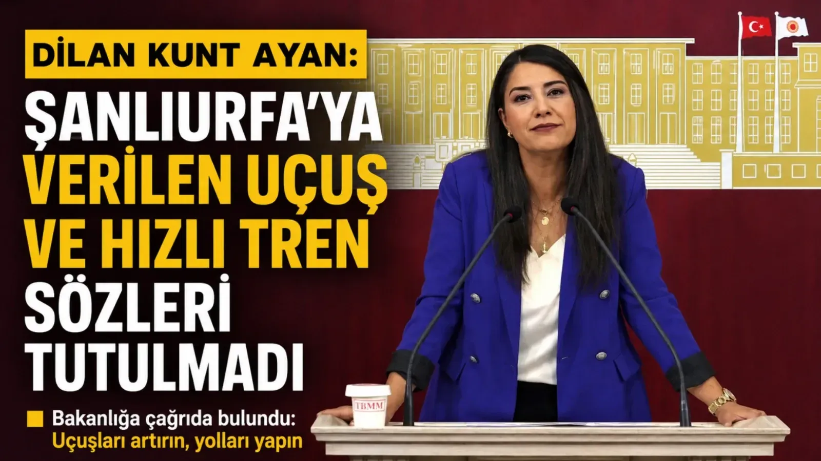 DEM Partili Ayan: 