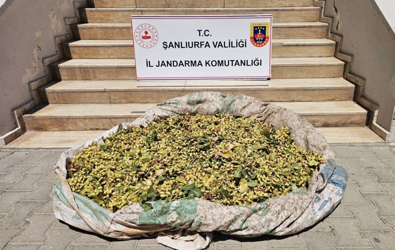 Suruç’ta Fıstık Hırsızlığına Suçüstü: 380 Kilo Fıstıkla Yakalandılar