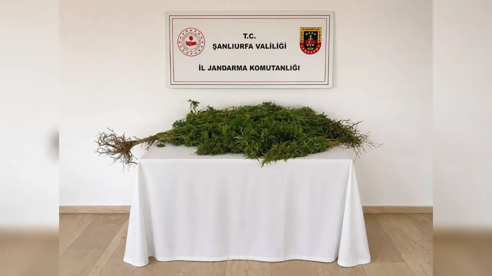 Eyyübiye’de Kenevir Operasyonu