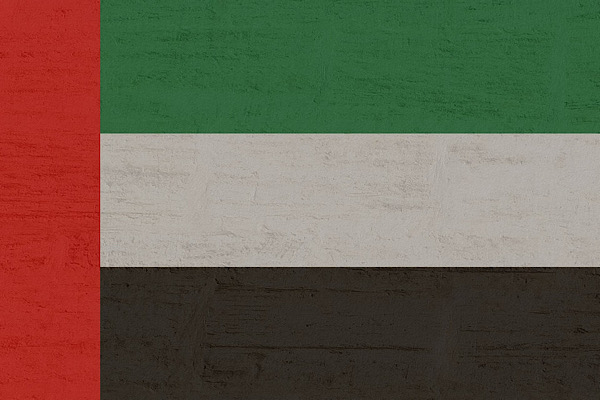 BAE Savunma Bakanlığı, 123 insansız hava aracını engellediğini açıkladı