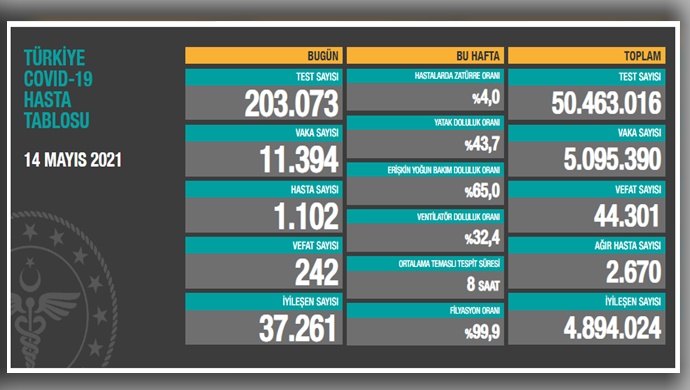 24 saatte 242 kişi daha hayatını kaybetti