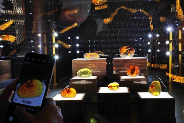 6. Çin Uluslararası İthalat Fuarı'ndan kareler