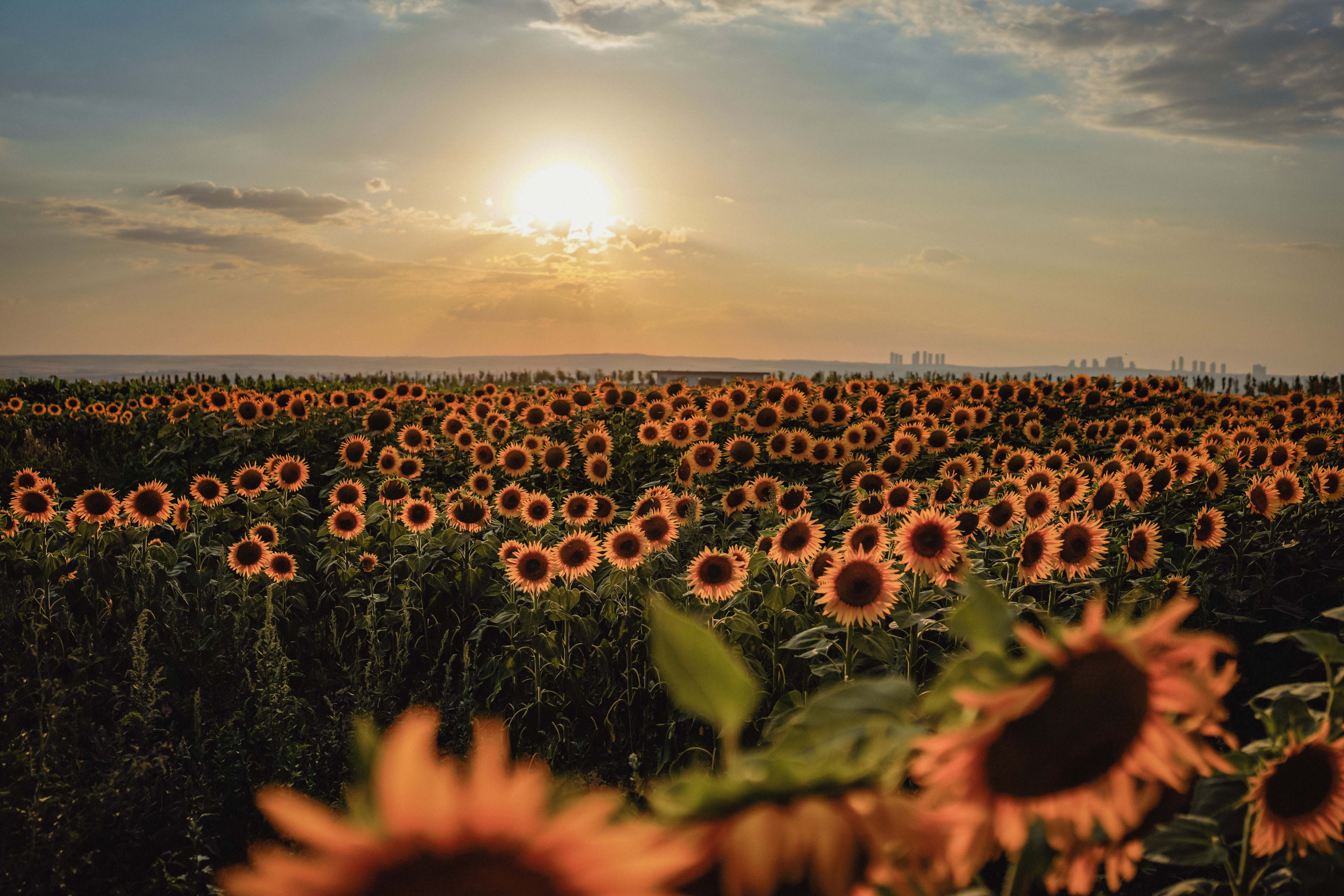 ABB foto muhabirlerinin objektifinden 