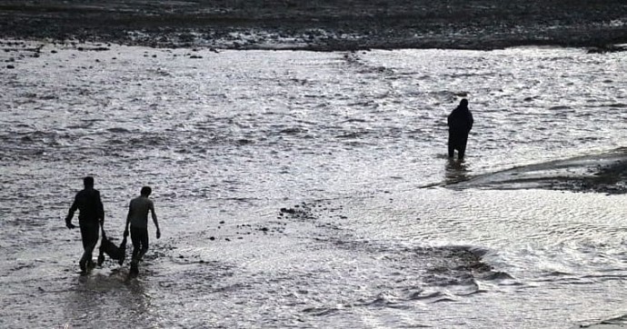 Ağrı'da 100'e yakın koyun sel sularına kapılarak öldü