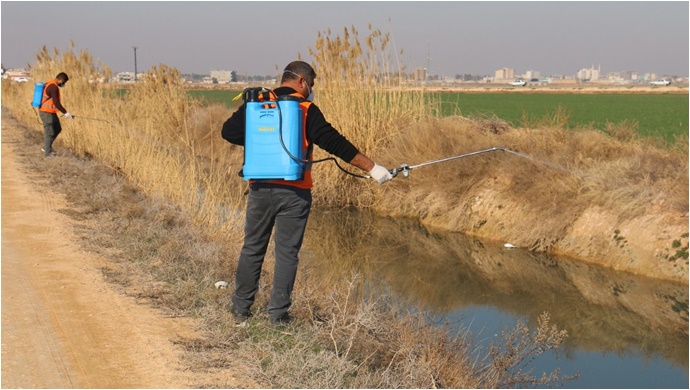 Akçakale'de ilaçlama çalışmaları sürüyor-(VİDEO)