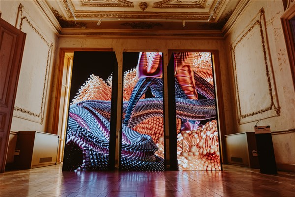 AKM'de 5 sergi birden