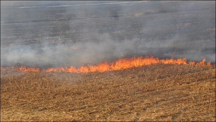 Anız Yakmayın, Toprağınızı Koruyun!