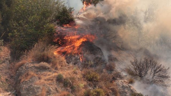 Antakya ve Samandağ'da orman yangını