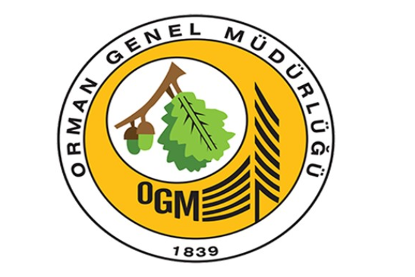 Antalya, Manisa ve Kahramanmaraş'ta devam eden orman yangınlarına müdahale sürüyor