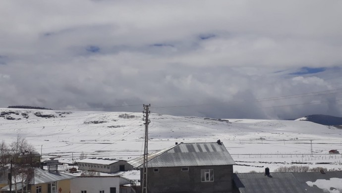 Ardahan’da kar yağışı: Hayvanlar aç kaldı