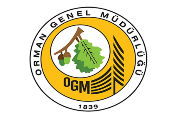 Aydın'daki orman yangını kontrol altına alındı