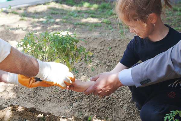 Bahçeşehir Tek Okullarında yenilenebilir enerji ve tarım farkındalığı