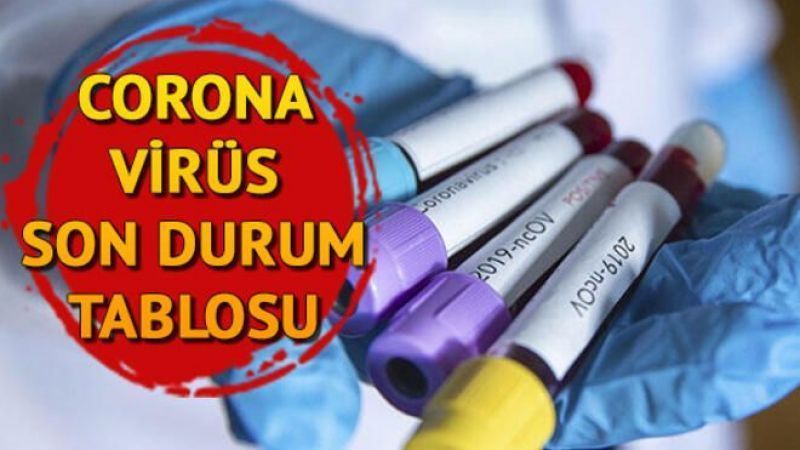 Bakan Koca,Son rakamları paylaştı artış devam ediyor