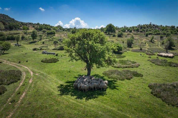 Başka Bir Tarım Sertifikasyonu uluslararası geçerlilik kazandı