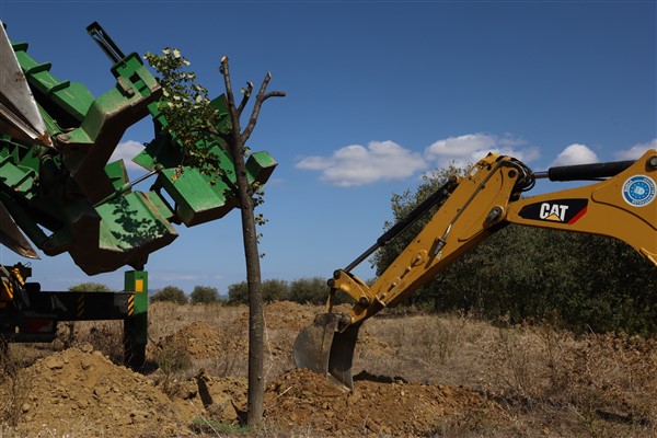 Başkan Aktaş: “Tek bir ağacı bile kaybedemeyiz”