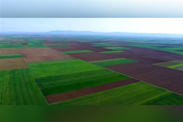 Başkan Büyükerşen: “Üretimin ve üreticinin yanında olmaya devam edeceğiz”