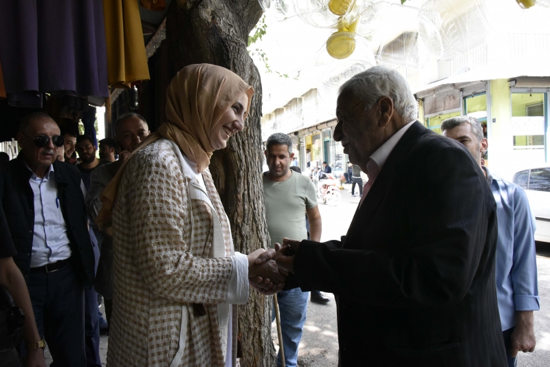 Başkan Çakmak Siverek Kalesinde incelemelerde bulundu 