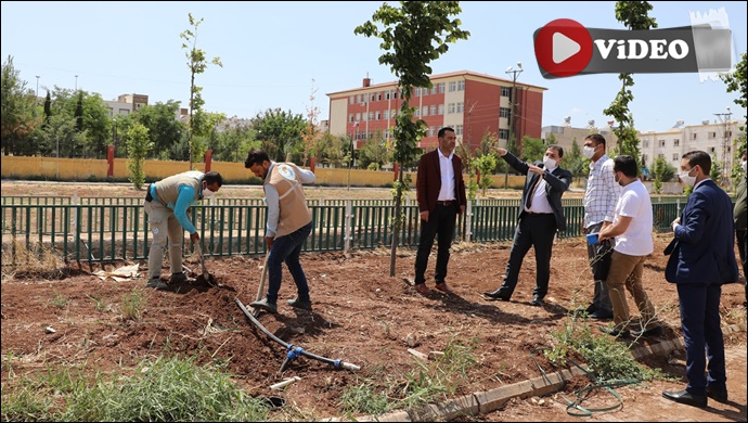 Başkan Canpolat: Ahmet Yesevi’ye Yeşil Bir Vadi Kazandıracağız