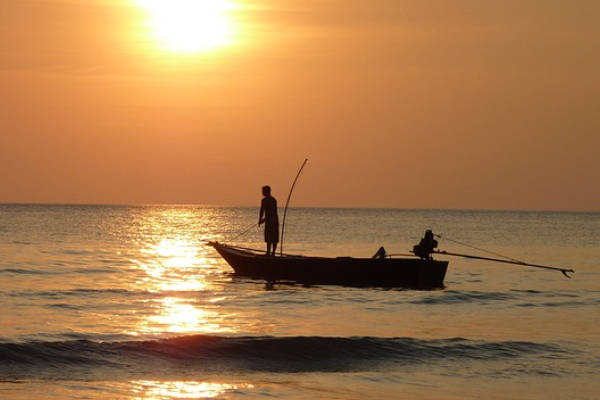 Başkan Soyer: ''Ucuz ve sağlıklı balık, çok yakında İzmirlilerin hizmetinde