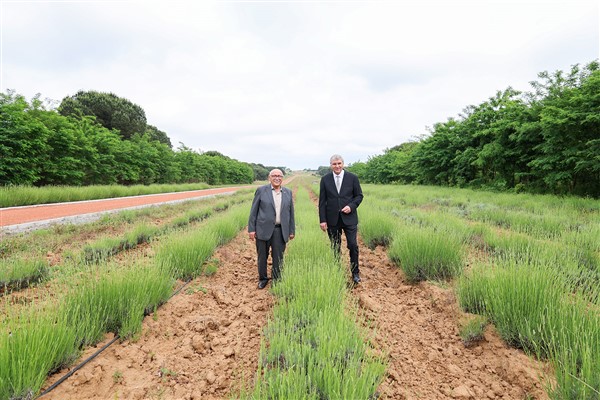 Başkan Yüce: “Botanik Park projemizle vadiyi yaşam merkezi haline taşıyacağız”
