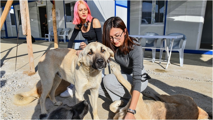 Başkent’te Can Dostlar Yeni Yuvasına Kavuşacak