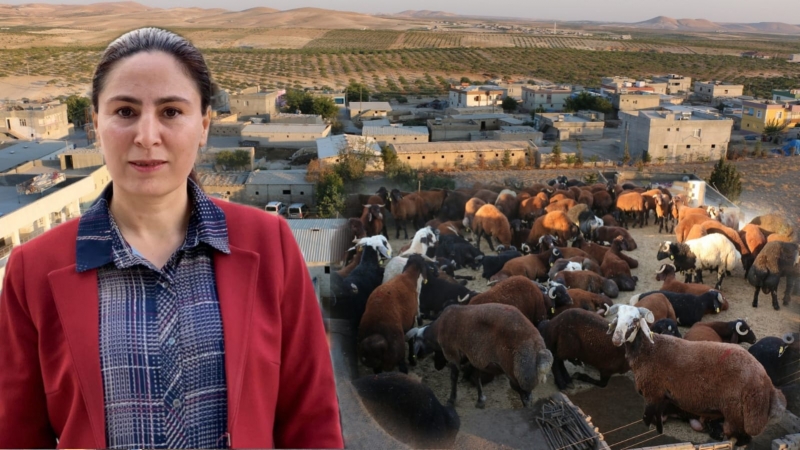 Birecik'teki Susuzluk Meclis Gündeminde