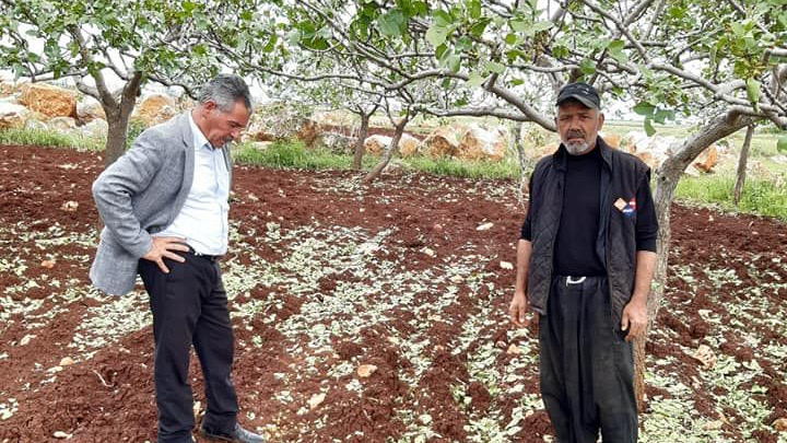 Bozova Ziraat Odası Başkanı Almas: Afet bölgesi ilan edilsin