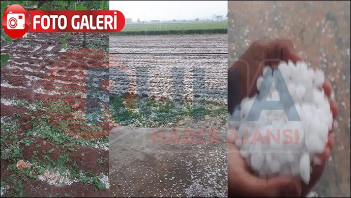 Bozova'da dolu yağışı: Tarlalar ve ekili alanlar zarar gördü