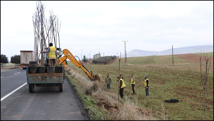 Büyükşehir Çalışıyor, Şanlıurfa Güzelleşiyor-(VİDEOLU)