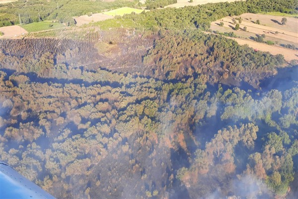 Çanakkale'deki orman yangını