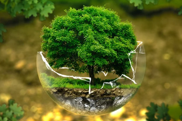  Çevre Ahlakı Platformu'nun 2021 raporu açıklandı