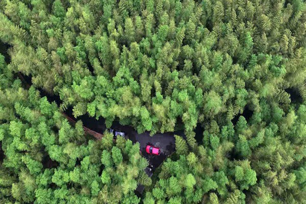 Çin inovasyonuyla yeşil kalkınmaya destek: 178 bin buluş için patent elde edildi