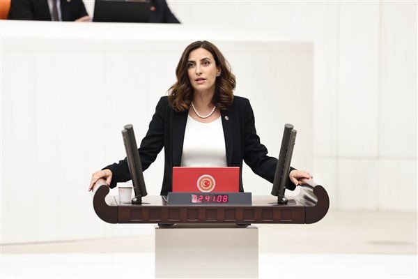 DEVA Partili Rızvanoğlu: 