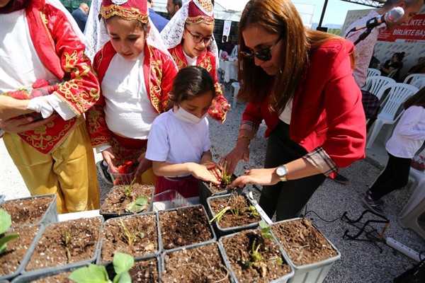 Doyasıya çilek hasadı: 