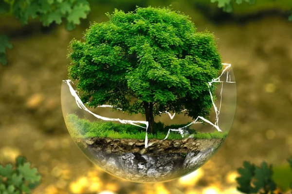 Eren Holding, Milli Ağaçlandırma Günü’nü 3 milyon fidan dikimiyle kutluyor 