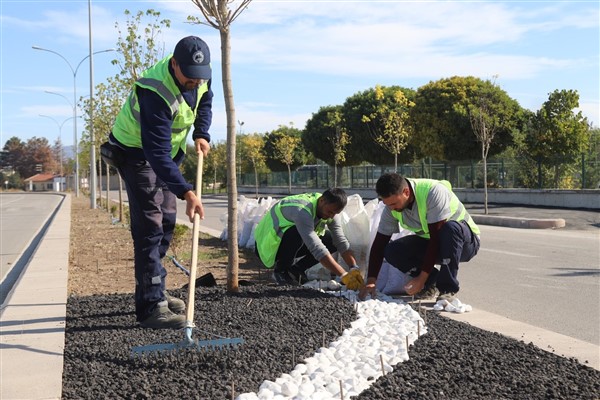 Eskişehir'de su kıtlığına karşı kuru peyzaj uygulaması başlatıldı
