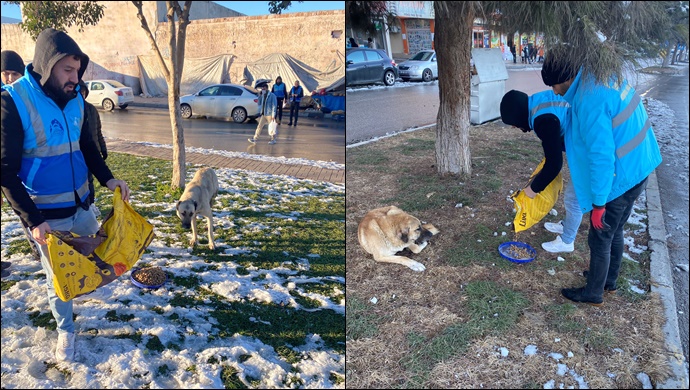 Eyyübiye Belediyesi ‘Can Dostları’ Unutmadı