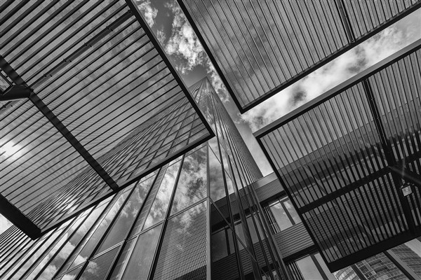 Guterres: “Dedelerimiz için kurduğumuz sistemle torunlarımıza bir gelecek inşa edemeyiz”