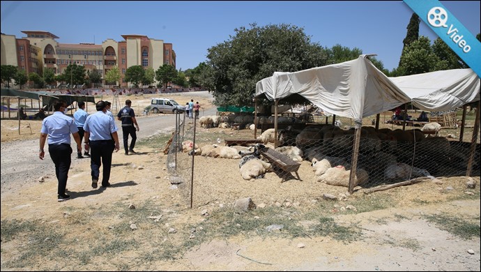 Haliliye, Bayram Öncesi Denetim ve Tedbirleri Sıkı Tutuyor