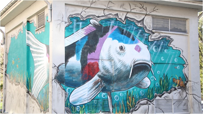 Haliliye Belediyesi İle Trafolar Sanat Eserine Dönüşüyor-(VİDEO)