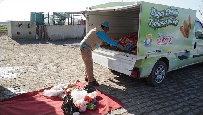 Haliliye Belediyesi, Günlük 500 Kilogram Ekmek İsrafını Önlüyor-(VİDEO)