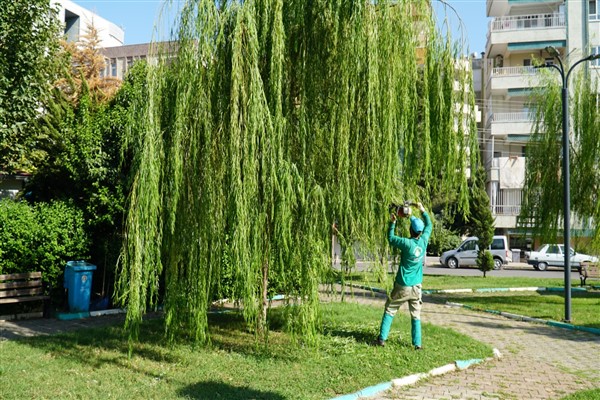 Haliliye'de yeşil alan miktarı artırılıyor