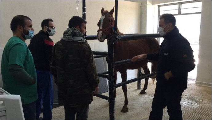 Harran Üniversitesi Hayvan Hastanesi Ruhsatını Aldı