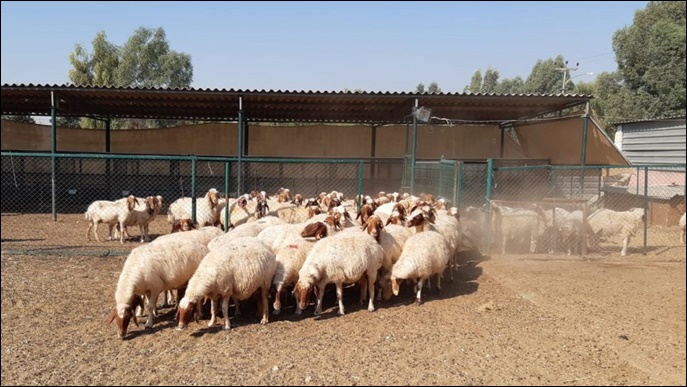 Harran Üniversitesi Bilimsel Çalışmalarda Hız Kesmiyor